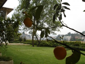 DSC01726